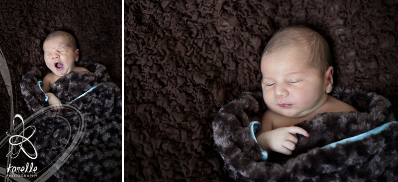 houston newborn photographer seymour 7